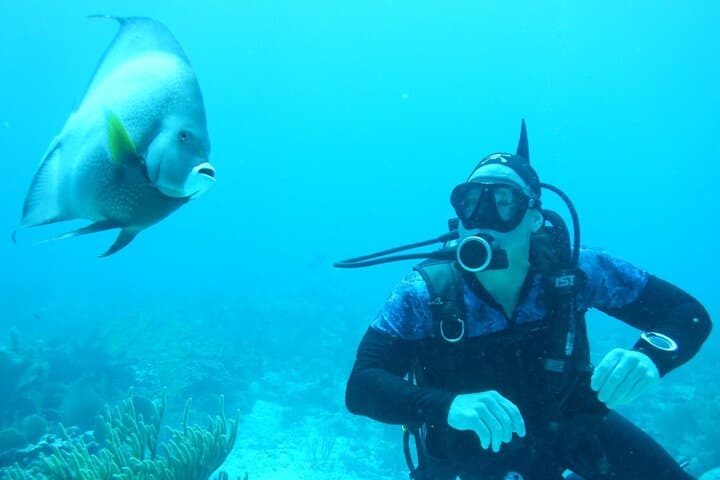 Discover Scuba in Puerto Morelos — Introductory Reef Dive on the Mesoamerican Barrier Reef photo 5