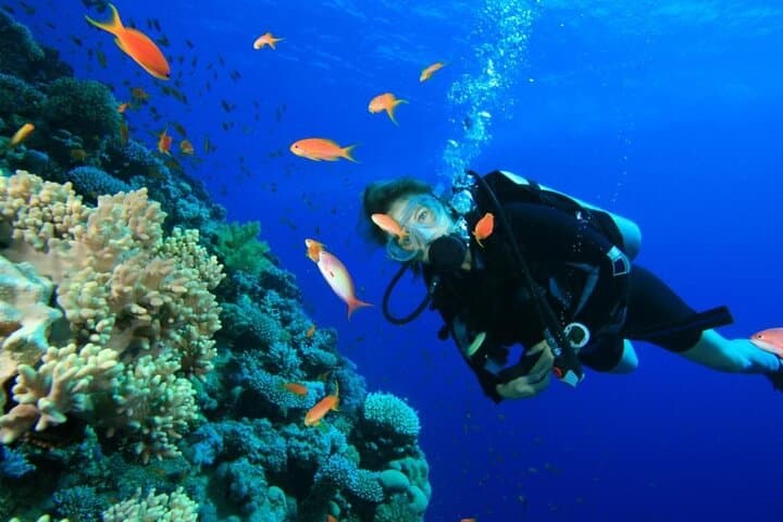 Private Nusa Dua Diving Experience with Hotel Pickup — Beginner-Friendly Bali Scuba photo 2