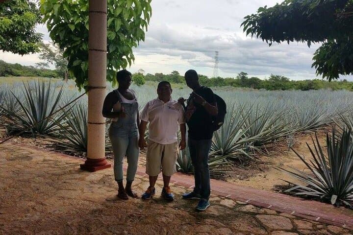 3-Day Yucatán Peninsula Tour: Uxmal, Chichén, Mayan Community & Cenote Experience photo 4