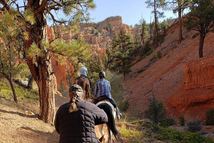 Ride Thunder Mountain: 4-Hour Horseback Adventure from Ruby's Inn, Utah photo 4