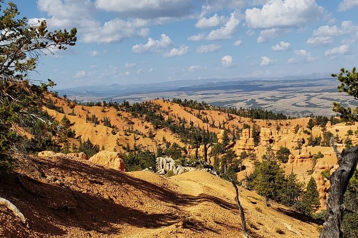 Ride Thunder Mountain: 4-Hour Horseback Adventure from Ruby's Inn, Utah photo 5