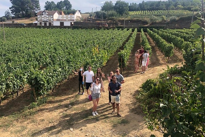 Douro Valley Small-Group Wine Tour from Porto — Boat Ride, Tastings & Lunch photo 3