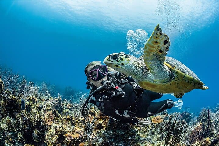 PADI Open Water Diver Course in Playa del Carmen — Certify on the Riviera Maya