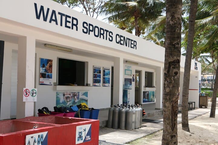 PADI Open Water Diver Course in Playa del Carmen — Certify on the Riviera Maya photo 2