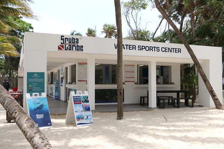 PADI Open Water Diver Course in Playa del Carmen — Certify on the Riviera Maya photo 3