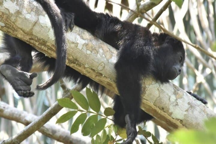 Las Guacamayas & Las Nubes: 2-Day Montebello Lagoons and Waterfalls Tour from San Cristóbal photo 4