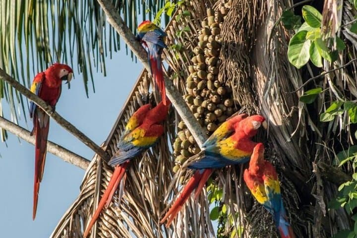 Las Guacamayas & Las Nubes: 2-Day Montebello Lagoons and Waterfalls Tour from San Cristóbal photo 3