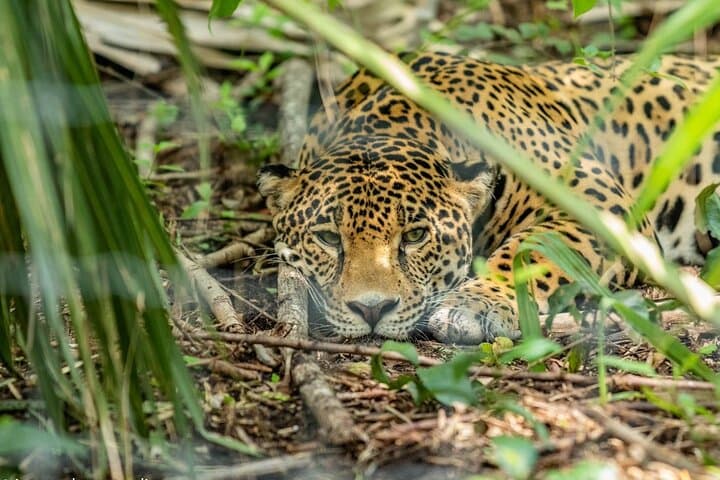 3-Day Huasteca Potosina Adventure: Rappelling, Rafting & Xilitla photo 6
