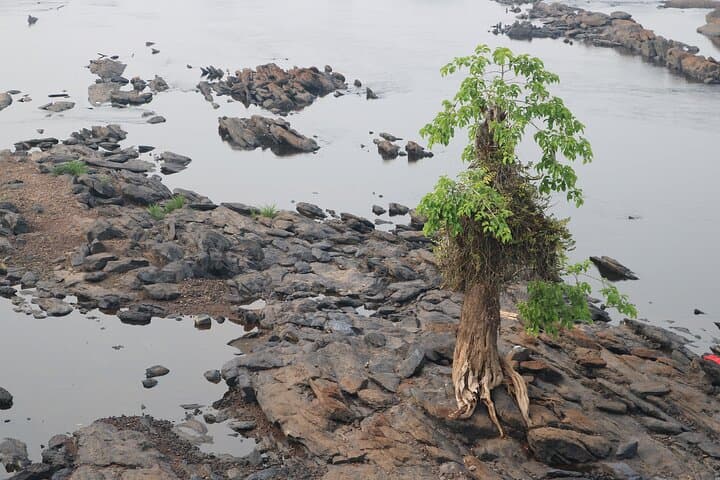 10-Day Cameroon Cultural Tour: Douala to Kribi Cultural & Coastal Adventure photo 5