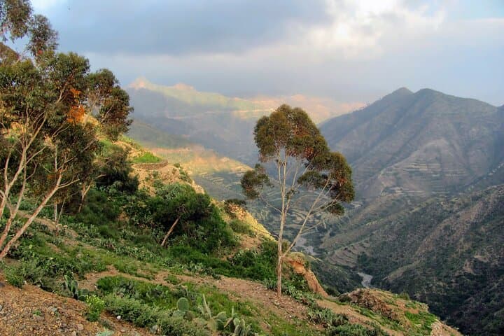 Eritrean Highlights Safari: 8-Day Cultural & Coastal Journey photo 6