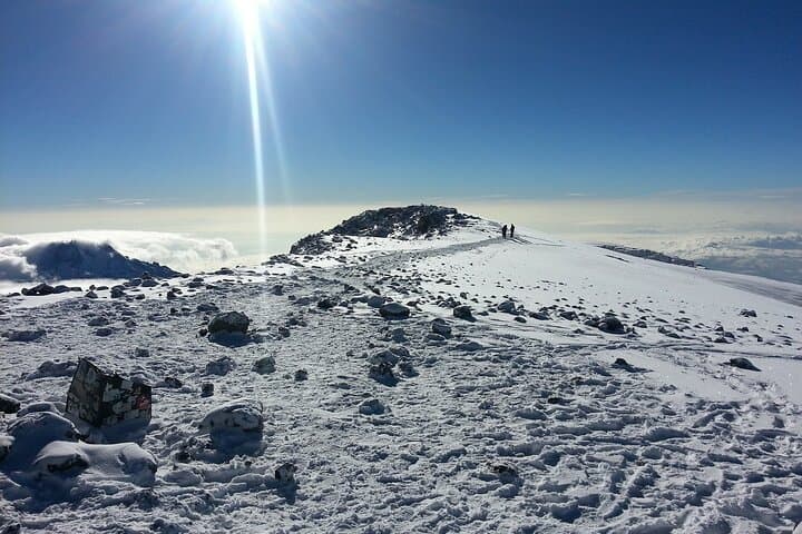 Climb Mount Kilimanjaro via Rongai Route — 8-Day Summit Trek from Moshi