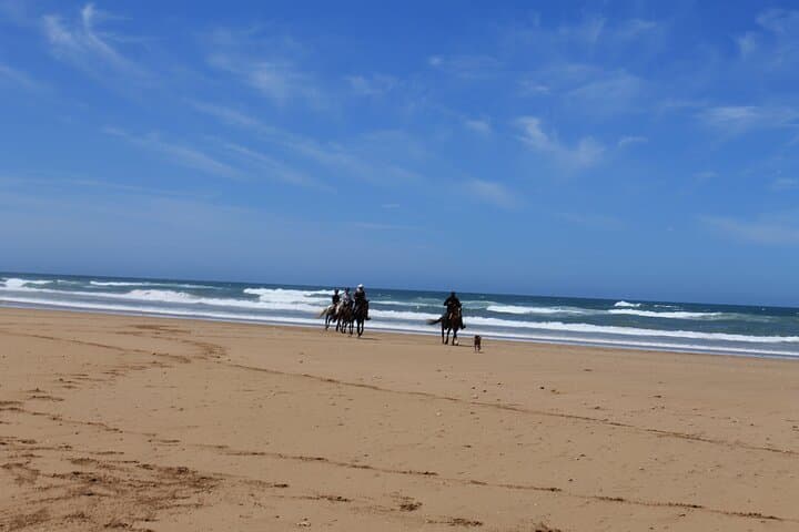 Essaouira Beach Horseback Ride with Overnight Berber Camp photo 6
