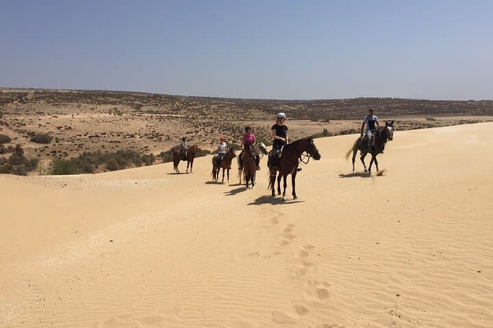 Essaouira 3-Hour Horse Riding: Beach Gallops, Dunes & Eucalyptus Forests photo 3