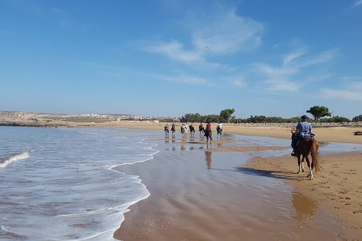 Essaouira 3-Hour Horse Riding: Beach Gallops, Dunes & Eucalyptus Forests photo 4
