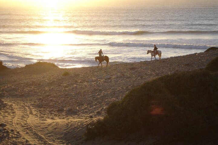 Essaouira Beach Horse Ride: 2-Hour Diabat Coastal & Dunes Experience photo 3