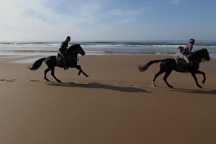 Essaouira Beach Horse Ride: 2-Hour Diabat Coastal & Dunes Experience photo 4
