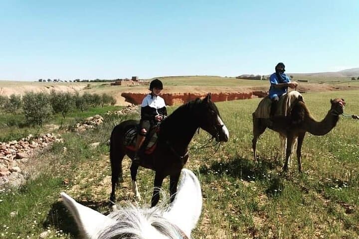 Agafay Desert Horseback Ride from Marrakech to Lalla Takerkoust photo 4
