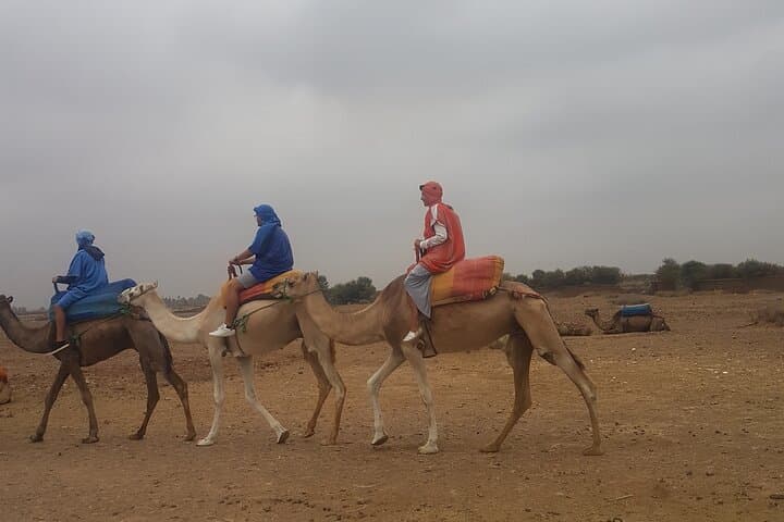 Atlas Mountains Day Trip from Marrakech: Hike, Camel Ride & Berber Lunch photo 4