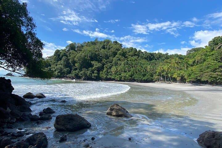 Manuel Antonio Ocean Hike: Hidden Beaches & Coastal Trails from Quepos photo 2