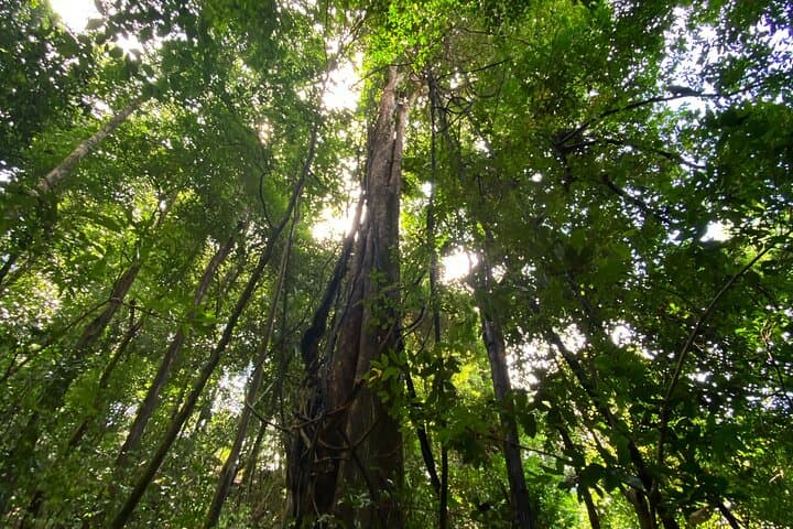 Manuel Antonio Ocean Hike: Hidden Beaches & Coastal Trails from Quepos photo 4