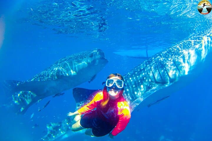 Oslob Whale Shark Swim & Kawasan Falls Day Tour — Swim with Gentle Giants and Cool Off in Blue Pools photo 2