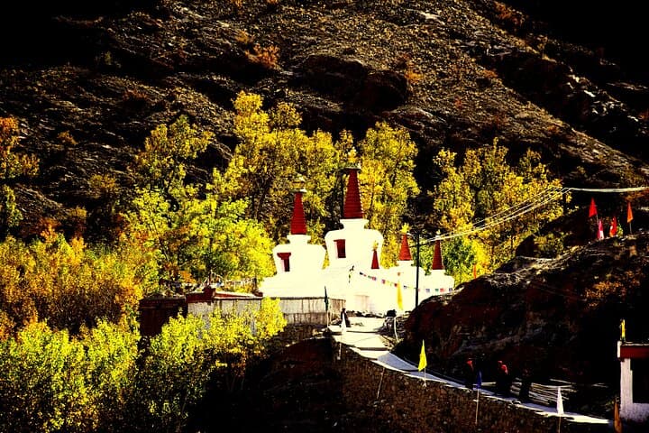 Ladakh Sham Valley Trek: 3-Day Beginner Trek from Leh to Hemis photo 3