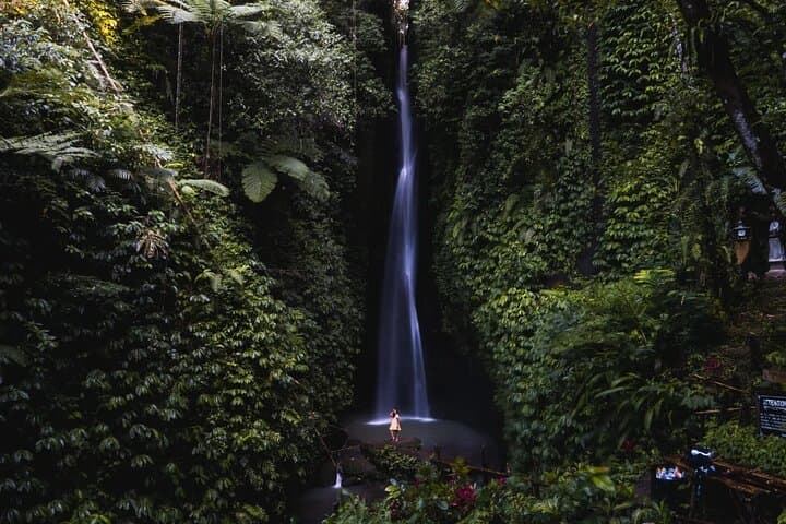 Bali Highlands: Temples, Leke Leke Waterfall & Handara Gate — Private Day Tour photo 5