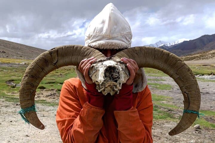Gyamtsa to Phyang: A One-Day Trek from Leh Over Gyamtsa La photo 2