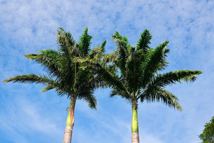 Best of West Maui Private Full-Day Guided Sightseeing Tour photo 5