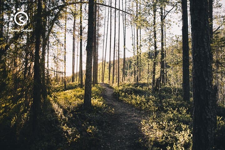 Midnight Sun Hike & Photography in Korouoma Canyon, Finland photo 3