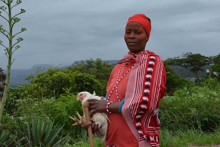 Zulu Oracle and Herbalist Day Tour — Sangoma Consultation in Molweni, KwaZulu-Natal photo 3
