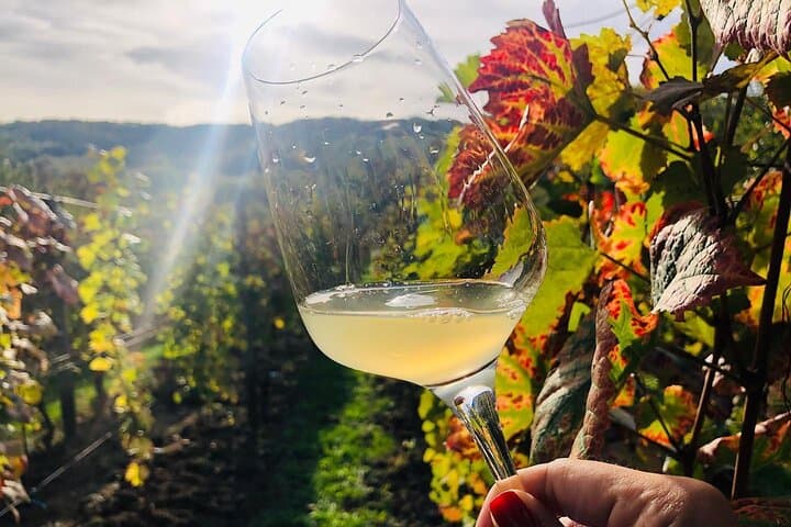 Bike and Wine Tour in Dealu Mare Wineland — Cycle Romania's Historic Vineyards photo 2