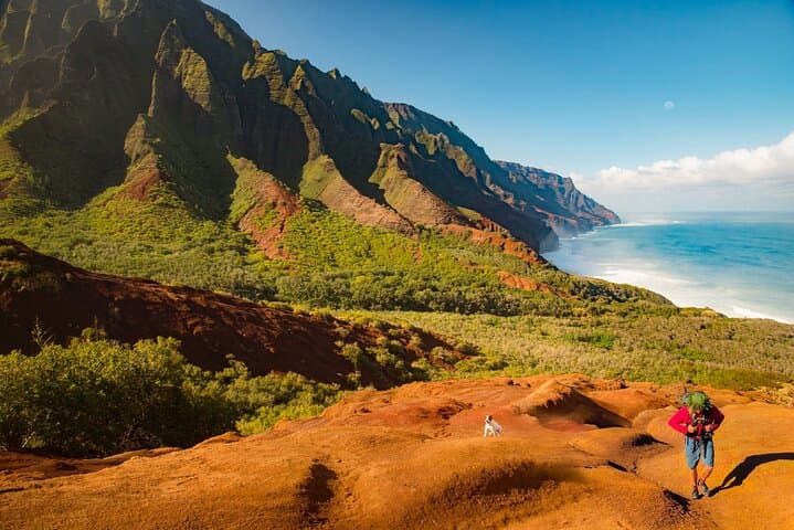 Private Waimea Canyon Tour from Kauai: Poipu Beach, Kauai Coffee & Wailua Falls photo 6