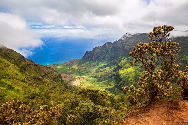 Private Waimea Canyon Tour from Kauai: Poipu Beach, Kauai Coffee & Wailua Falls