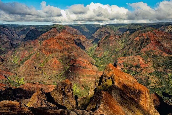 Private Waimea Canyon Tour from Kauai: Poipu Beach, Kauai Coffee & Wailua Falls photo 2