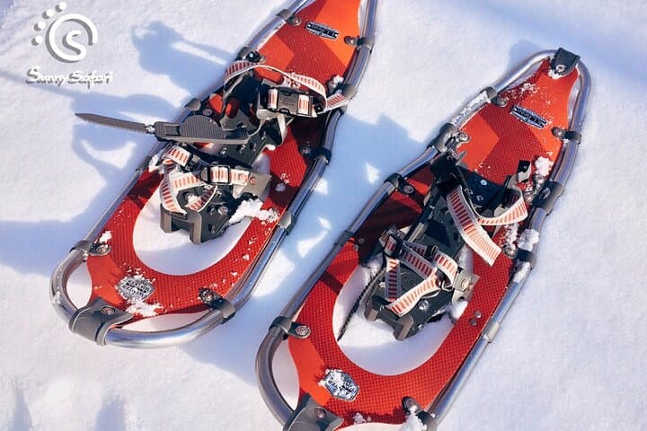 Snowshoeing Lapland Wilderness: Arctic Snowshoe Tour from Rovaniemi photo 4
