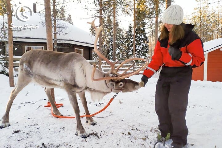 Reindeer Safari in Arctic Wilderness: Rovaniemi Reindeer Sled Experience photo 2
