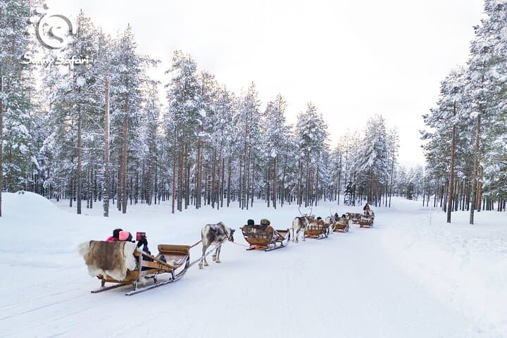 Reindeer Safari in Arctic Wilderness: Rovaniemi Reindeer Sled Experience photo 4