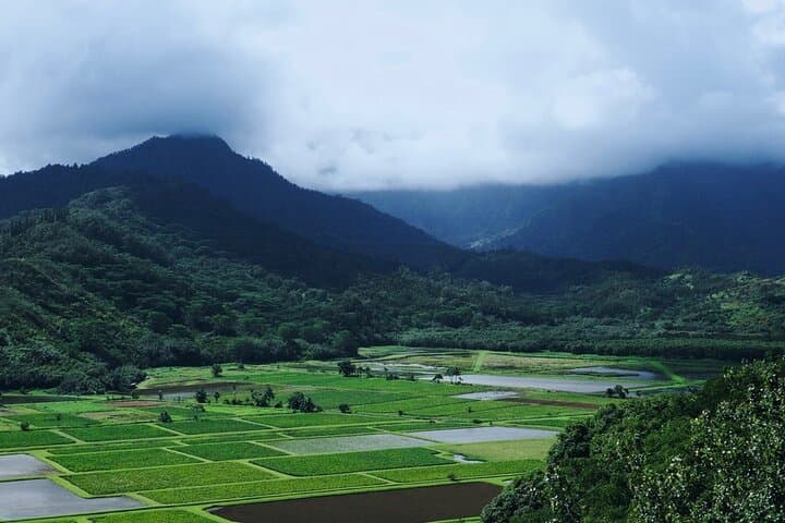 Kauai North Shore Private Tour: Kilauea Lighthouse, Hanalei Bay, Wailua Falls & More photo 5