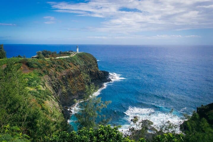 Kauai North Shore Private Tour: Kilauea Lighthouse, Hanalei Bay, Wailua Falls & More photo 2