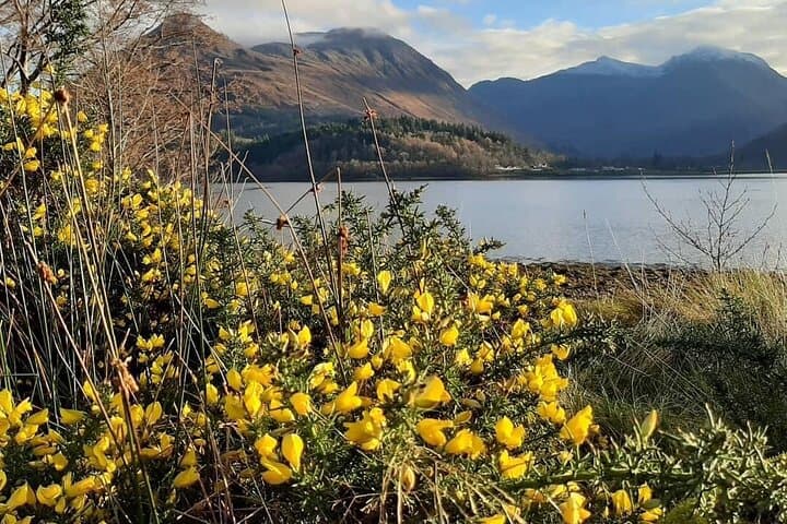 Majestic Wester Ross Day Tour from Inverness photo 3