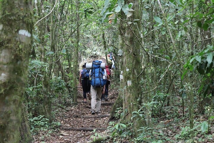 Summit Atitlán Volcano: Full-Day Guided Hike from Santiago Atitlán photo 5