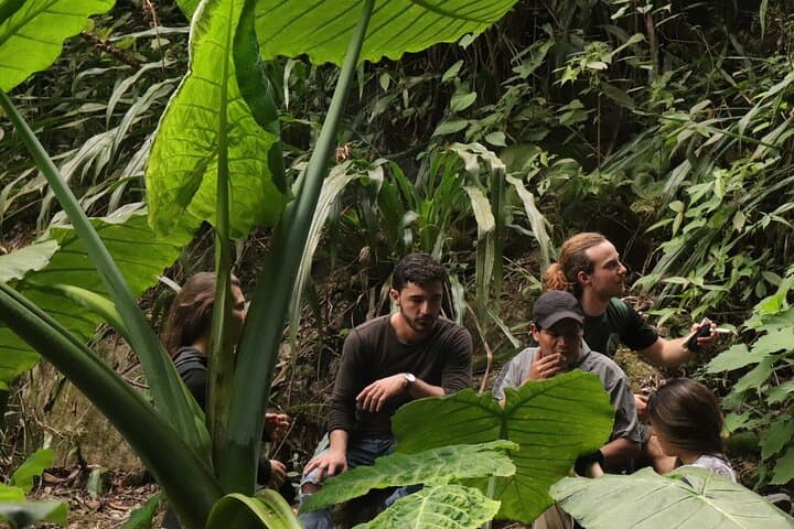 Waterfall Hike in Santiago Atitlán — Rainforest Trails of Atitlán Volcano photo 5