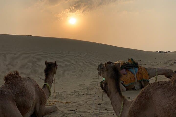 Midnight Mirage: Non‑Touristic Overnight Camel Safari Near Jaisalmer photo 3
