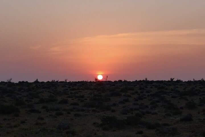 Midnight Mirage: Non‑Touristic Overnight Camel Safari Near Jaisalmer photo 6