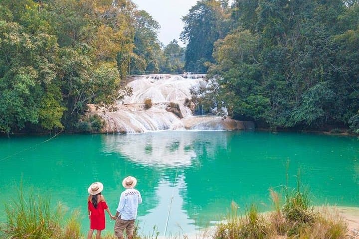 Palenque to Roberto Barrios Waterfall Day Trip with Transfer to San Cristóbal photo 4