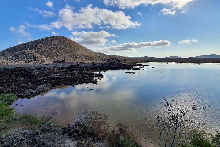 Floreana Island Day Trip: Snorkel, Fish & Explore Cormorant Point photo 4