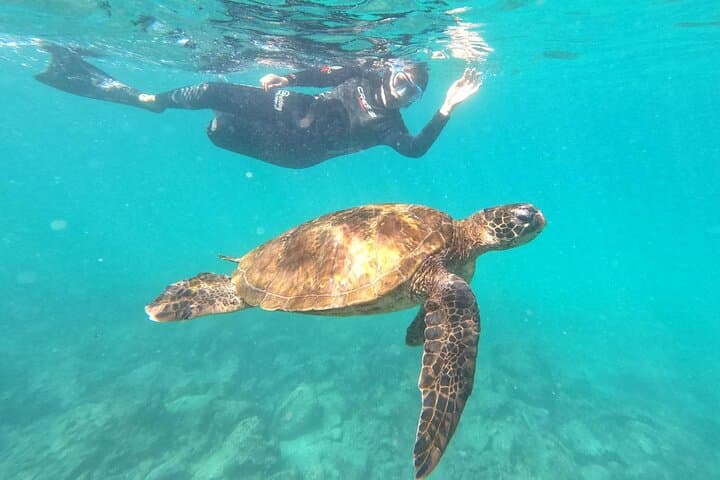Floreana Island Day Trip: Snorkel, Fish & Explore Cormorant Point photo 6