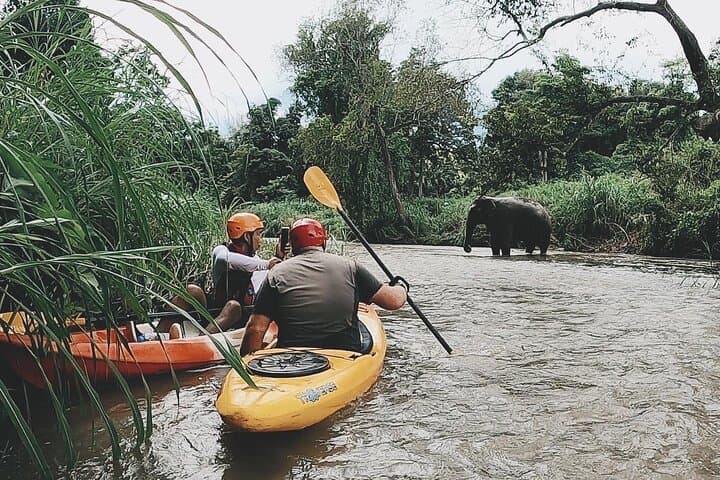 Mae Wang Jungle Kayak: Rapids, Wildlife & Doi Inthanon Views photo 3