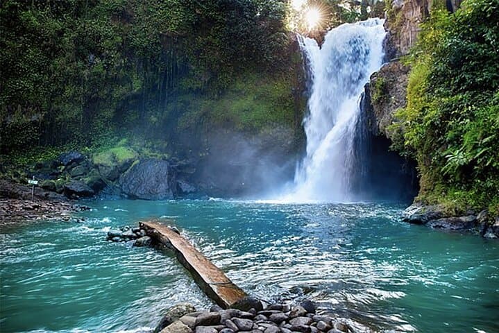 Full-Day Custom Bali Tour with Private Driver: Temples, Rice Terraces & Waterfalls photo 5